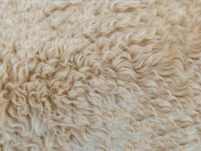 one raw material shearling fur
